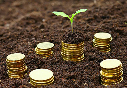 microfinance-bank-s